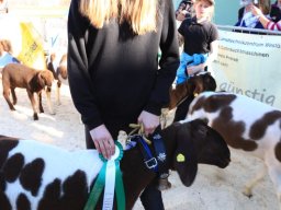 2019_ausstellung polling_705